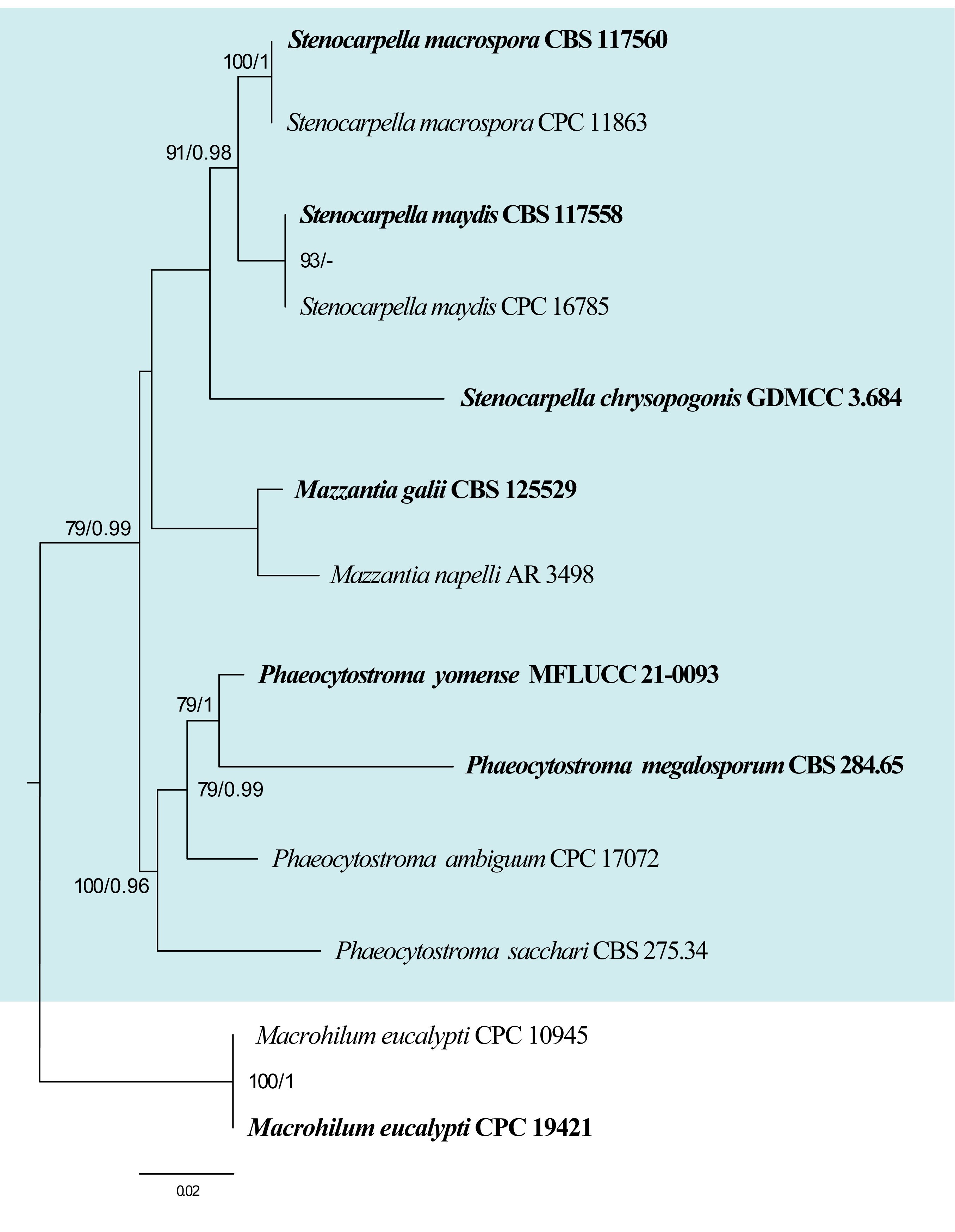 Figure 46
